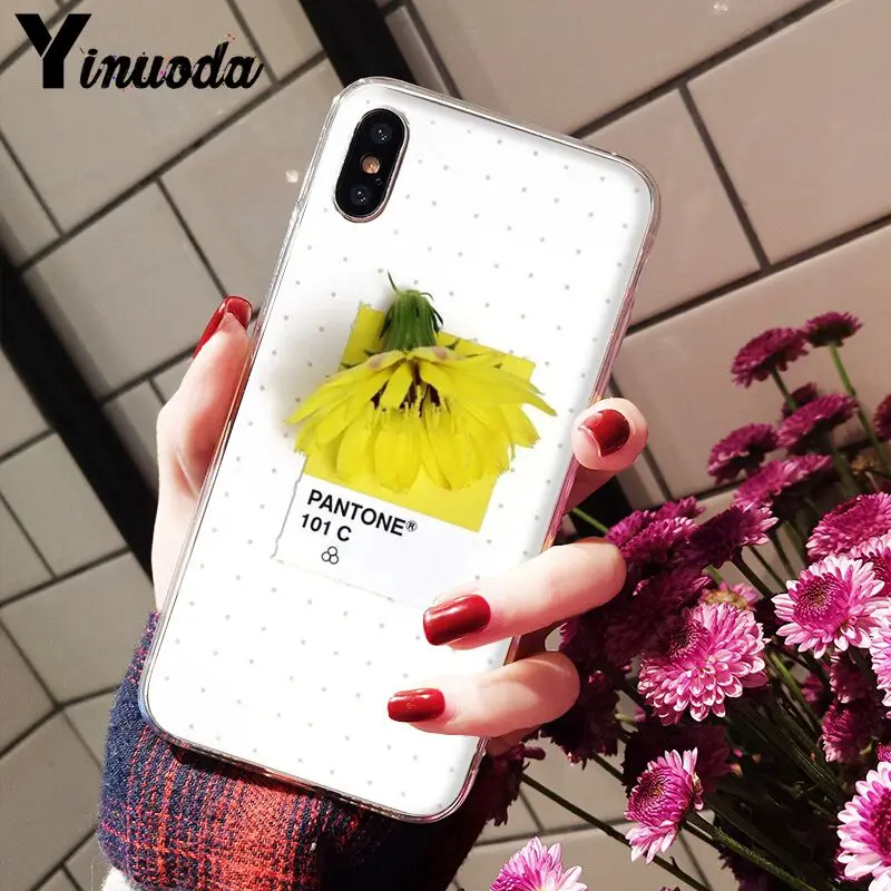 Pantone Candy Color Flower