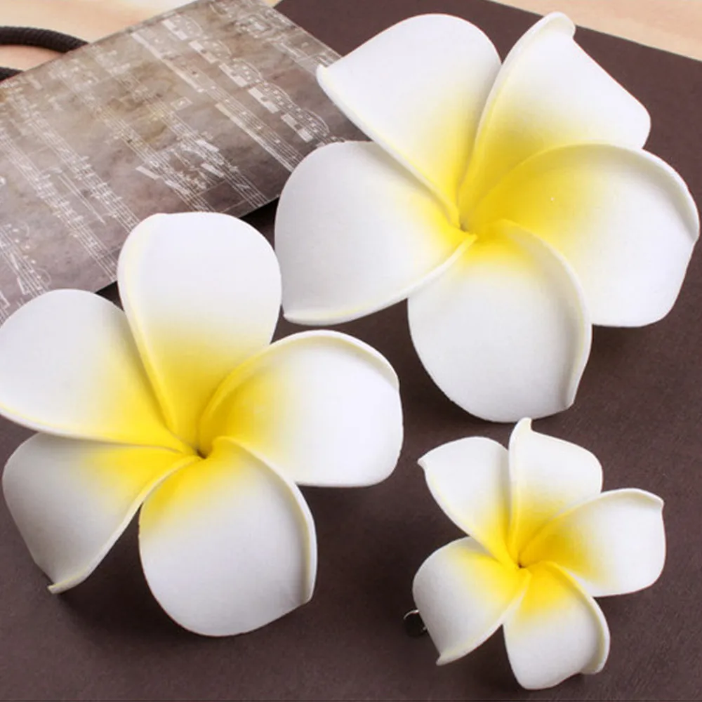 hair clip (2).jpg