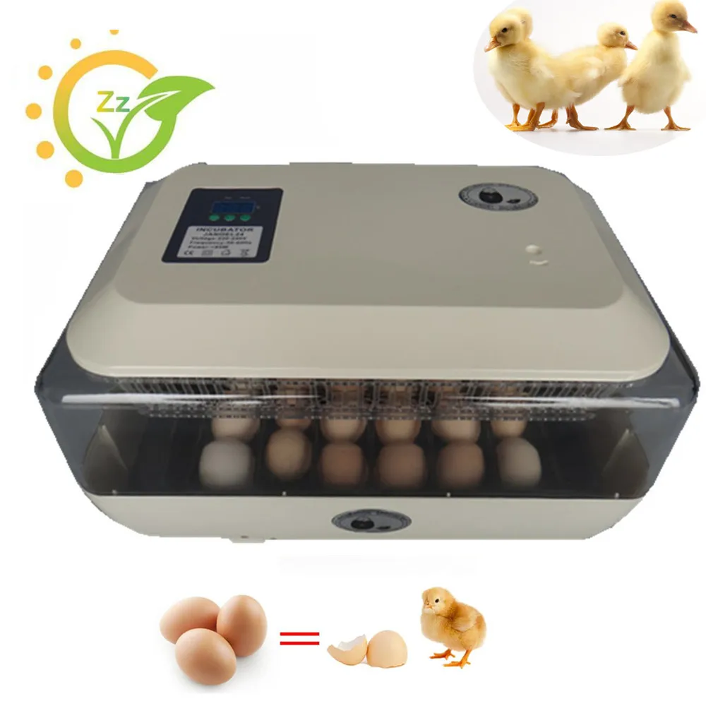 Mini home use eggs incubator fully automatic digital clear chicken brooder commercial poultry incubator
Mini home use eggs incubator fully automatic digital clear chicken brooder commercial poultry incubator