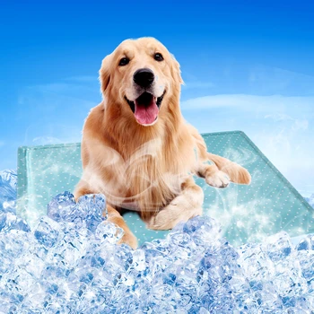 New Gel Dot Pet Cooling Bed Mat Summer Dog Cooling Pad Sponge Comfortable Dog Cat Bed Cushion Cooler Dogs Keep Cool Mattress
New Gel Dot Pet Cooling Bed Mat Summer Dog Cooling Pad Sponge Comfortable Dog Cat Bed Cushion Cooler Dogs Keep Cool Mattress