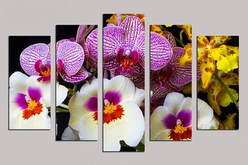 About "All kinds of orchids" Oil Painting on Canvas for home decor wall art sticker fit to Living Room and cafe bar RM5-045
About "All kinds of orchids" Oil Painting on Canvas for home decor wall art sticker fit to Living Room and cafe bar RM5-045