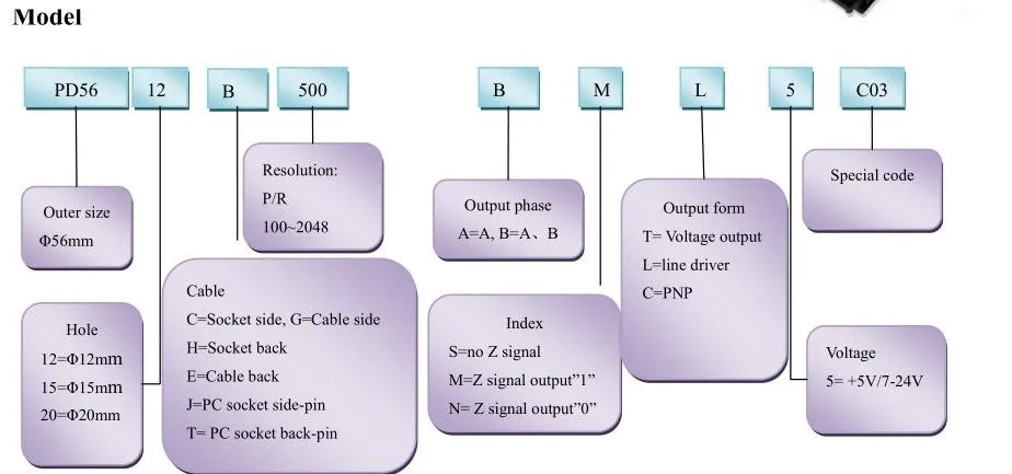 PD56 1