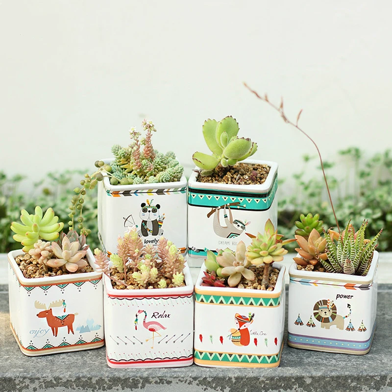 Set of 6 Cartoon Animal Painting Planters Ceramic Succulent Plant Pot Porcelain Desktop Bonsai Planter Flamingo Panda Fox
Set of 6 Cartoon Animal Painting Planters Ceramic Succulent Plant Pot Porcelain Desktop Bonsai Planter Flamingo Panda Fox