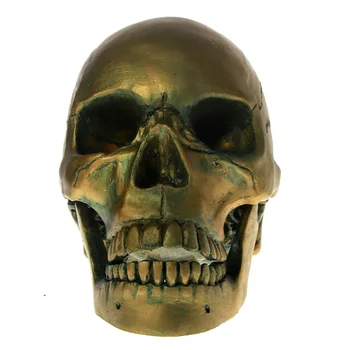 1Piece Antique Skeleton Head Sculpture Halloween Horror Decoraiton 1:1 Life Size Bronze Skull Head With Movable Jaw
1Piece Antique Skeleton Head Sculpture Halloween Horror Decoraiton 1:1 Life Size Bronze Skull Head With Movable Jaw
