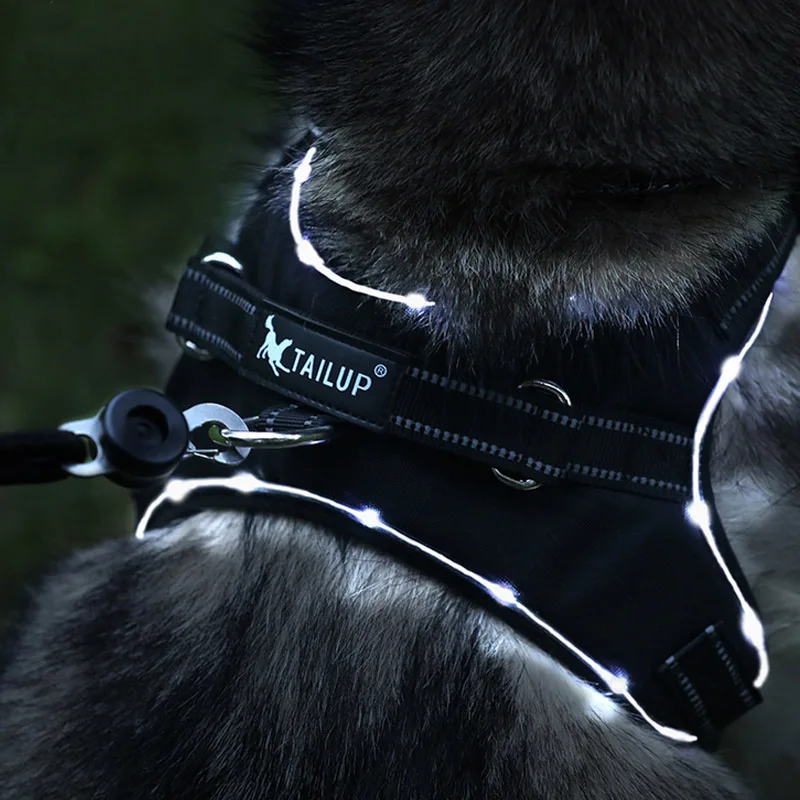 TAILUP New Oxford Dog Harness Reflective Lighting LED Saddle Pet Collar Harness for Small Medium Large Dogs Animals Puppy Vest
TAILUP New Oxford Dog Harness Reflective Lighting LED Saddle Pet Collar Harness for Small Medium Large Dogs Animals Puppy Vest