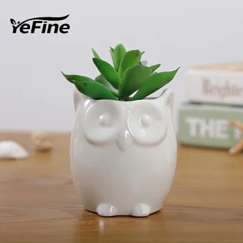 YeFine Ceramic Flower Pot Juicy Plants Small Bonsai Pot Home and Garden Office Decor Mini Succulent Plant Pots Decoration
YeFine Ceramic Flower Pot Juicy Plants Small Bonsai Pot Home and Garden Office Decor Mini Succulent Plant Pots Decoration