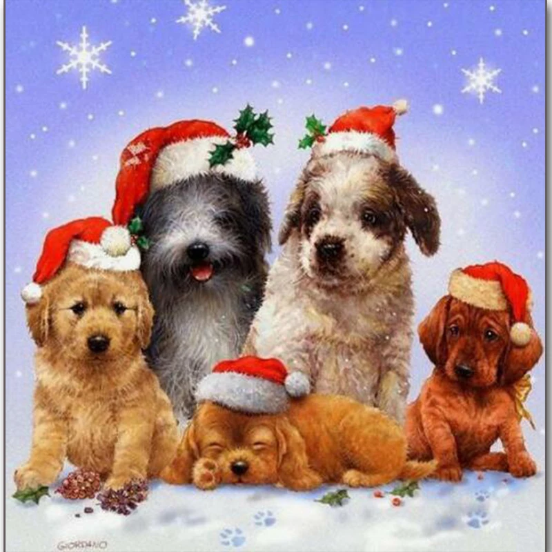 Full Square/Round Drill 5D DIY Diamond Painting "Christmas dog & cat" 3D Embroidery Cross Stitch Mosaic Home Decor
Full Square/Round Drill 5D DIY Diamond Painting "Christmas dog & cat" 3D Embroidery Cross Stitch Mosaic Home Decor
