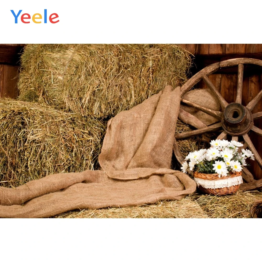 Yeele Autumn Rural Farm Barn Haystack Wheel Scene Baby Child Photography Backgrounds Custom Photographic Backdrop Photo Studio
Yeele Autumn Rural Farm Barn Haystack Wheel Scene Baby Child Photography Backgrounds Custom Photographic Backdrop Photo Studio