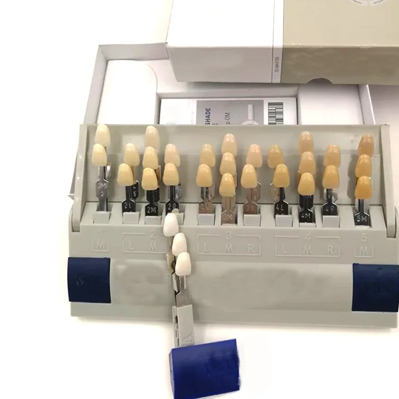 29 Colors 3D Tooth shade Guide Dentist Dental Material Equipment Teeth Whitening Porcelain Shade Guide
29 Colors 3D Tooth shade Guide Dentist Dental Material Equipment Teeth Whitening Porcelain Shade Guide