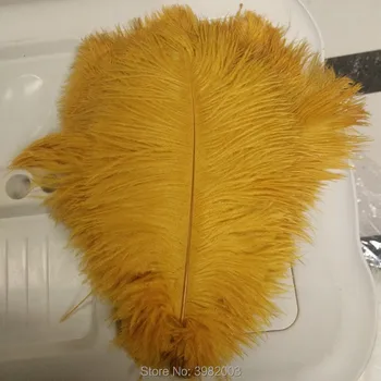100pcs/lot 10-12 inch fluffy soft ostrich feathers Golden feather for craft ostrich plumes wedding party decoration 25-30cm
100pcs/lot 10-12 inch fluffy soft ostrich feathers Golden feather for craft ostrich plumes wedding party decoration 25-30cm