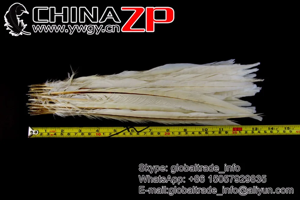 white Ringneck Pheasant Tail Feathe (13)