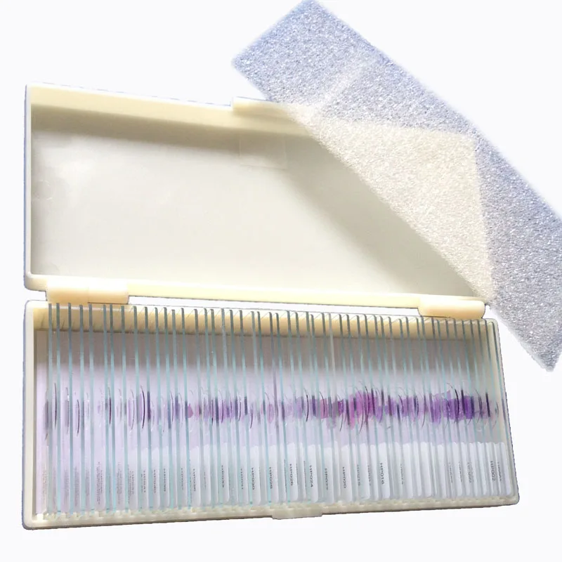 50pcs pathology slides 1