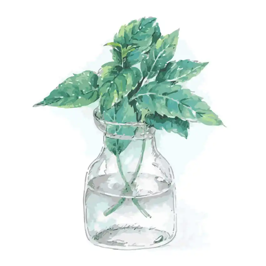 RIHE Green Leaves DIY Oil Painting By Numbers Wall Canvas Picture Coloring Paint By Number Brush Drawing Hand Painted Craft
RIHE Green Leaves DIY Oil Painting By Numbers Wall Canvas Picture Coloring Paint By Number Brush Drawing Hand Painted Craft