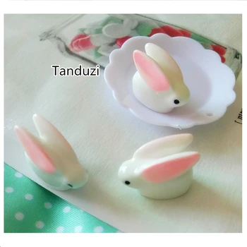 Tanduzi Wholesale 100PCS Cute Resin Rabbit Flatback Cabochon Miniature Garden Figurines Decoration Hair Bow Scrapbooking DIY
Tanduzi Wholesale 100PCS Cute Resin Rabbit Flatback Cabochon Miniature Garden Figurines Decoration Hair Bow Scrapbooking DIY