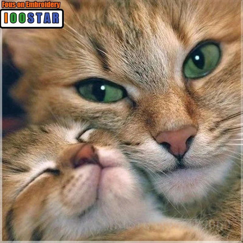 5D Diy Diamond Embroidery Cross Stitch Loverly Cat &Baby Cat Square Full Diamond Mosaic Needlework Diamond Painting Decora Resin
5D Diy Diamond Embroidery Cross Stitch Loverly Cat &Baby Cat Square Full Diamond Mosaic Needlework Diamond Painting Decora Resin