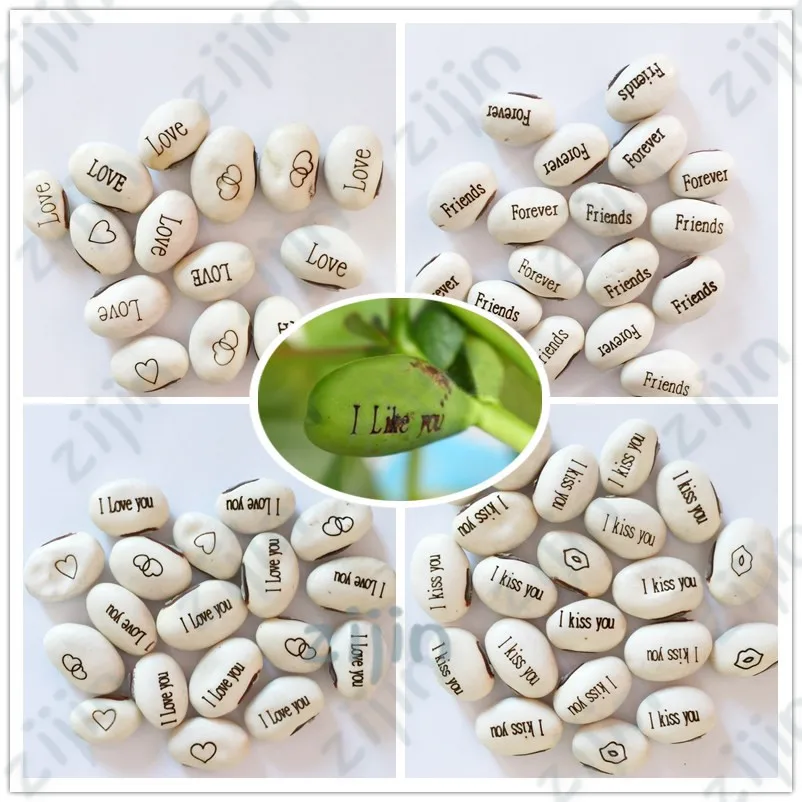 5PCS Magic Growing Message Beans Bonsais Magic Bean English Magic Bean Potted Green Office Home Decor for Flower Pot Planter
5PCS Magic Growing Message Beans Bonsais Magic Bean English Magic Bean Potted Green Office Home Decor for Flower Pot Planter