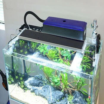 Aquarium External Filter Box Pump Fish Tank Water Box For Circulation System Adjustable Length 24~60cm Filter Container Tools
Aquarium External Filter Box Pump Fish Tank Water Box For Circulation System Adjustable Length 24~60cm Filter Container Tools