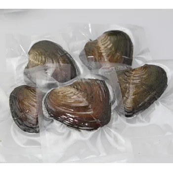10pcs/lot 6-7mm Mix 28 Colors Round Triplets Pearls FreshWater Oysters Individually Wrap Surprising Pack Free Shipping FR033
10pcs/lot 6-7mm Mix 28 Colors Round Triplets Pearls FreshWater Oysters Individually Wrap Surprising Pack Free Shipping FR033