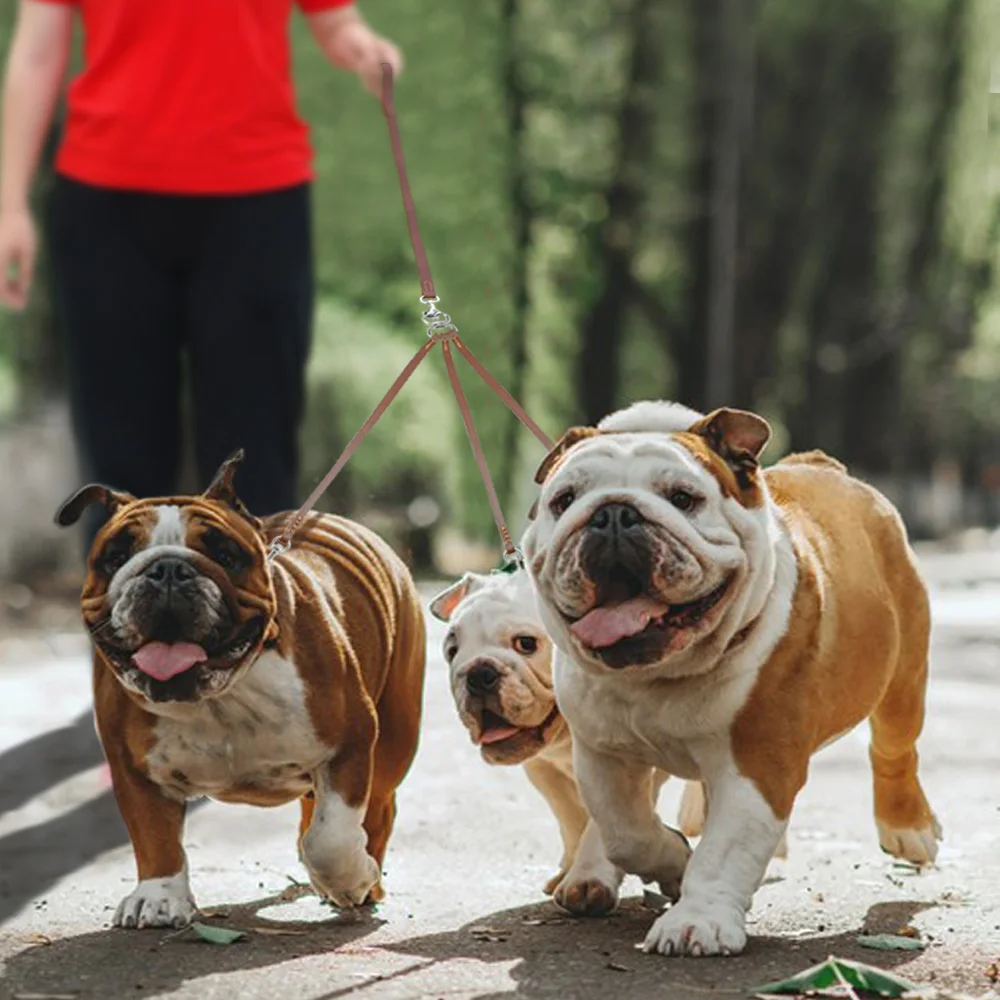 threeway-leather-dog-leash-coupler-for-13-dogs