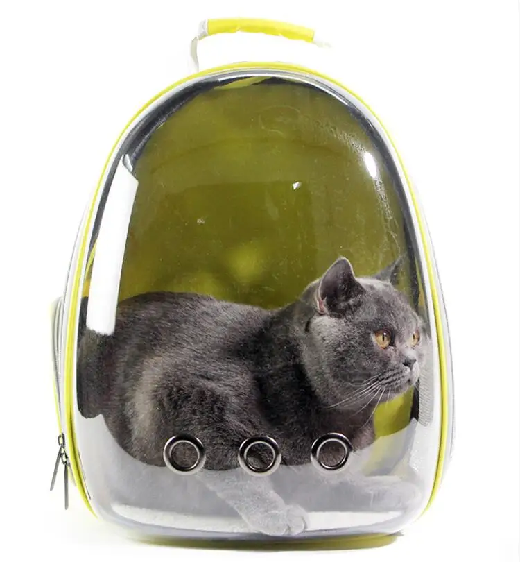 clear backpack for cats