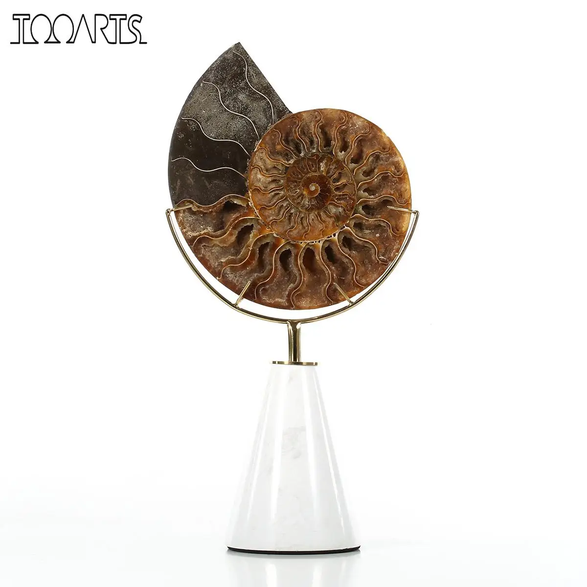 TOOARTS Nautilus Shell Ornament Figurine Abstract Sculpture Cone-shape Marble Base Post-Modernism Villa Home Decor Accessories
TOOARTS Nautilus Shell Ornament Figurine Abstract Sculpture Cone-shape Marble Base Post-Modernism Villa Home Decor Accessories