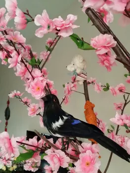 Wholesale Simulation black feather birds Magpie for Garden Home Bar Desk Decoration props 22cm Pure handmade Free shipping
Wholesale Simulation black feather birds Magpie for Garden Home Bar Desk Decoration props 22cm Pure handmade Free shipping