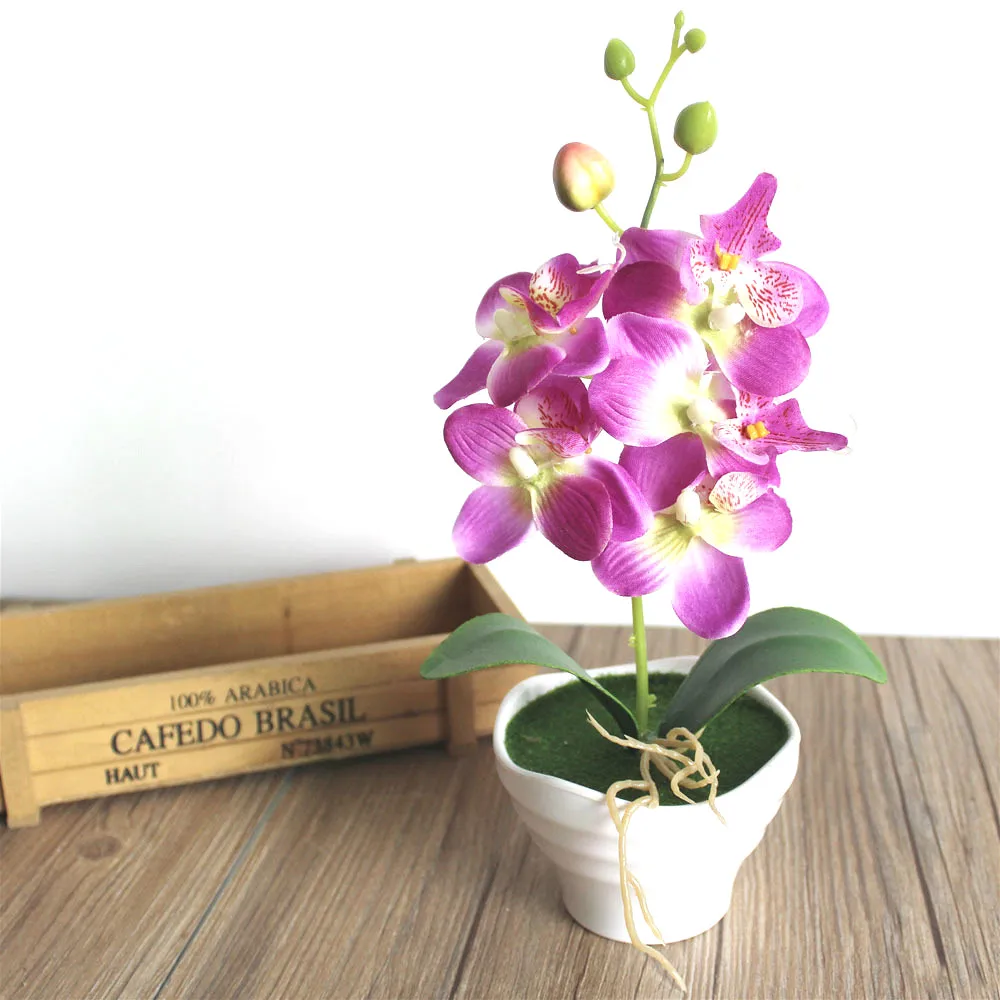 Height 27cm Artificial Orchid Plant Bonsai Phalaenopsis Real Touch Flower with Leaves Home Decor Birthday Party Decorations
Height 27cm Artificial Orchid Plant Bonsai Phalaenopsis Real Touch Flower with Leaves Home Decor Birthday Party Decorations