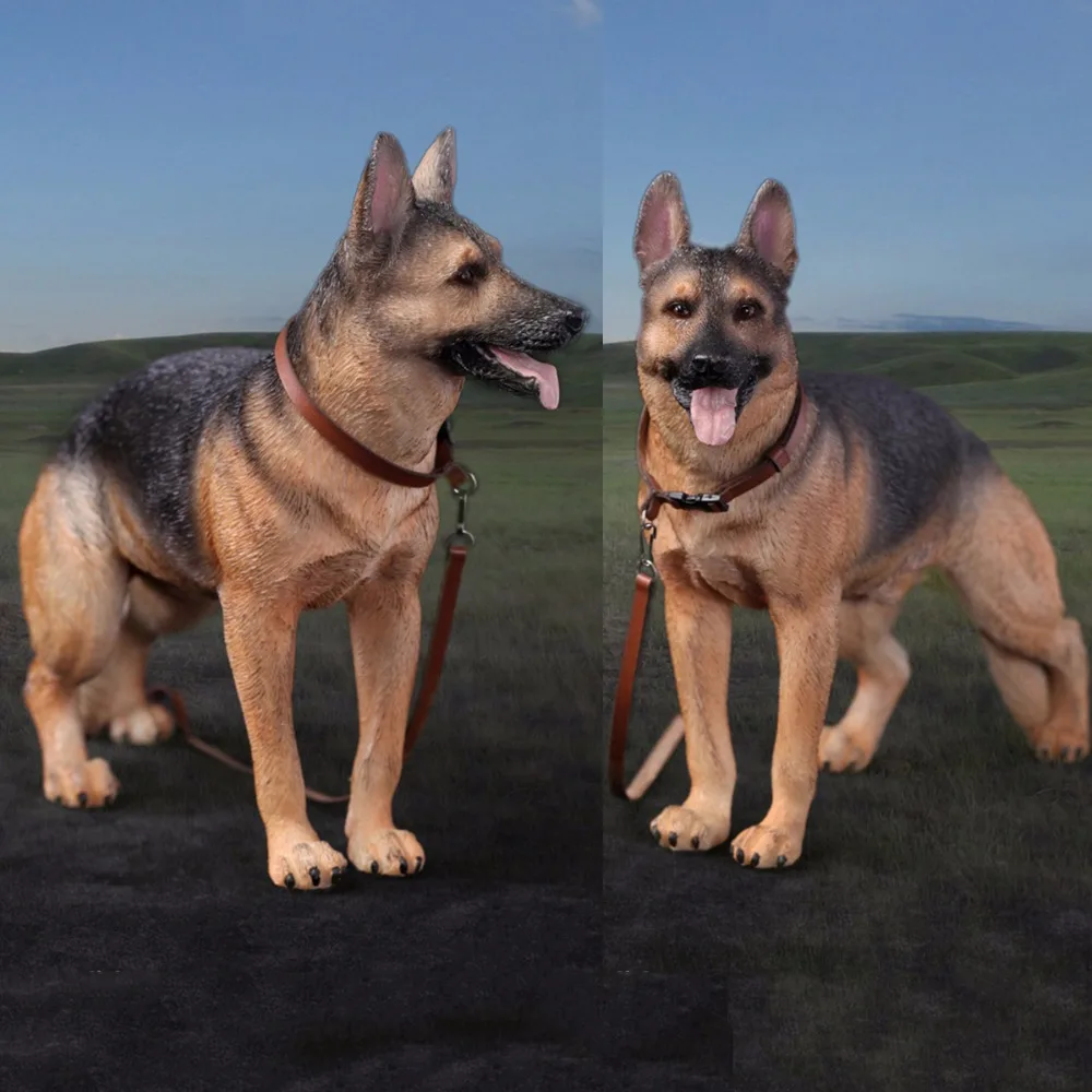 DID (AS003) 1/6 Working Dog Model German Shepherd dog Anime Statue for 12 inches Action Figure Accessories Collections
DID (AS003) 1/6 Working Dog Model German Shepherd dog Anime Statue for 12 inches Action Figure Accessories Collections