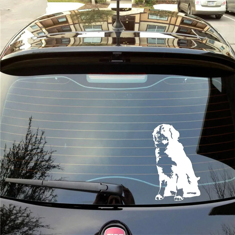 Bernese mountain dog For Auto Car/Bumper/Window Vinyl Decal Sticker Decals DIY Decor CT838
Bernese mountain dog For Auto Car/Bumper/Window Vinyl Decal Sticker Decals DIY Decor CT838