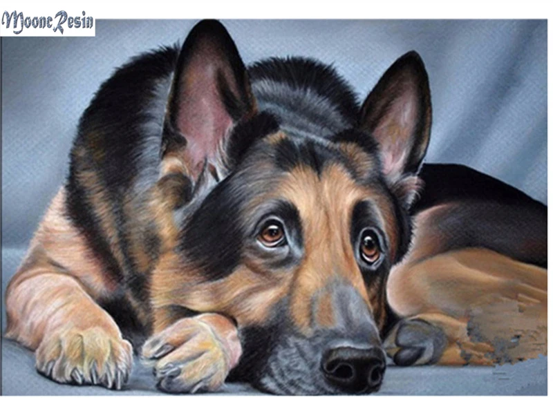 MOONCRESIN Diy Diamond Painting Stunned The Wolf Diamond Mosaic Full Diamond Embroidery Cross Stitch Decoration Square Painting
MOONCRESIN Diy Diamond Painting Stunned The Wolf Diamond Mosaic Full Diamond Embroidery Cross Stitch Decoration Square Painting