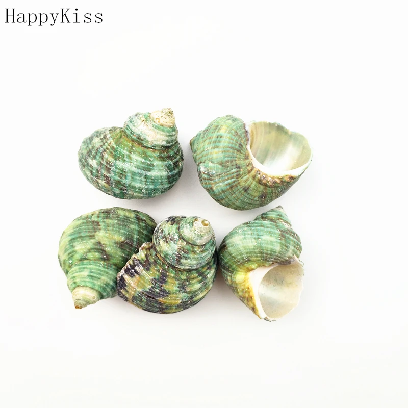 Free shipping 5 pcs/lot natural sea shell snail/trumpet shell wedding festival/party decoration conch natural crafts green fish
Free shipping 5 pcs/lot natural sea shell snail/trumpet shell wedding festival/party decoration conch natural crafts green fish