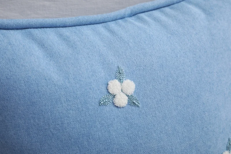 主6