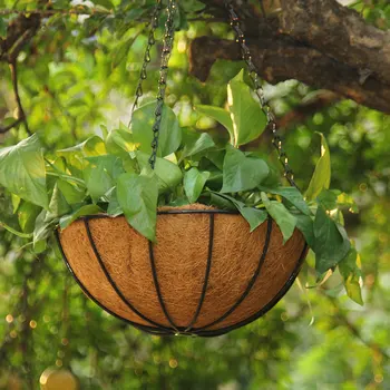 VOZZISOUE Hot Coconut Palm Basket Layers Plant Flower Planter Pot Home Garden Desk Decor Self Watering Planter Hanging Basket
VOZZISOUE Hot Coconut Palm Basket Layers Plant Flower Planter Pot Home Garden Desk Decor Self Watering Planter Hanging Basket