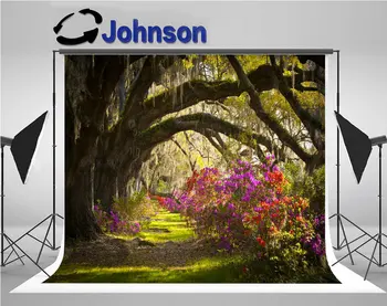 green grass trees spanish moss azalea flowers spring blooms photography backgrounds Vinyl cloth Computer print wall backdrop
green grass trees spanish moss azalea flowers spring blooms photography backgrounds Vinyl cloth Computer print wall backdrop