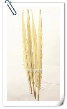 NEW! 100PCS 40-45cm 16-18 inches off white Carrival Pheasant tail feathers ringneck pheasant feather
NEW! 100PCS 40-45cm 16-18 inches off white Carrival Pheasant tail feathers ringneck pheasant feather