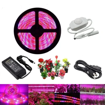5M LED Grow Lights 5050 LED Strip Light Full Spectrum LED Phyto Lamps Fitolampy Plant lamp With 12V Power Adapter dimmer switch
5M LED Grow Lights 5050 LED Strip Light Full Spectrum LED Phyto Lamps Fitolampy Plant lamp With 12V Power Adapter dimmer switch