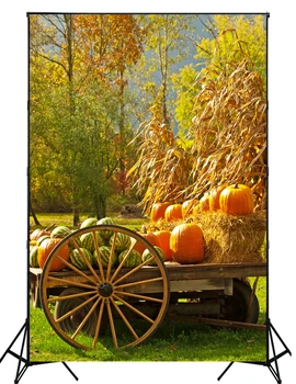 2016 New arrival Halloween photography backdrops for newborn portrait Pumpkin photo background XT-4199
2016 New arrival Halloween photography backdrops for newborn portrait Pumpkin photo background XT-4199