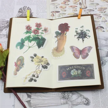 60pcs Vintage Designs Vellum Stickers for Scrapbooking Happy Planner/Card Making/Journaling Project
60pcs Vintage Designs Vellum Stickers for Scrapbooking Happy Planner/Card Making/Journaling Project