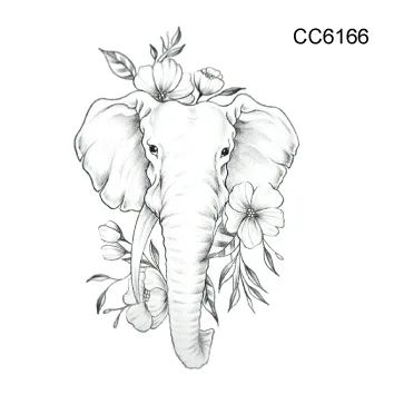 cc 60 (35)