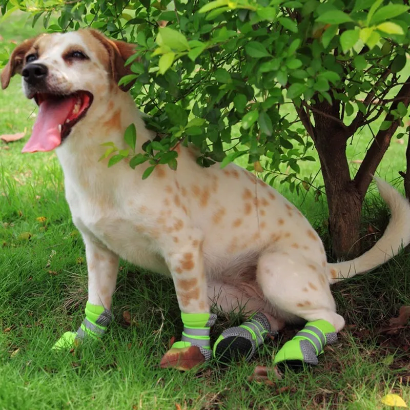 4pcs Dog Shoes Breathable Soft Relective Bandage Paw Boots for Walking LBShipping
4pcs Dog Shoes Breathable Soft Relective Bandage Paw Boots for Walking LBShipping