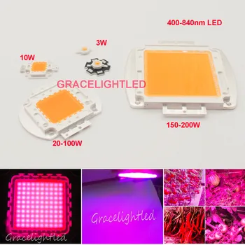 3W 10W 50W 100W 200W led grow chip 400-840nm ,full spectrum led grow lights for hydroponics led chip
3W 10W 50W 100W 200W led grow chip 400-840nm ,full spectrum led grow lights for hydroponics led chip
