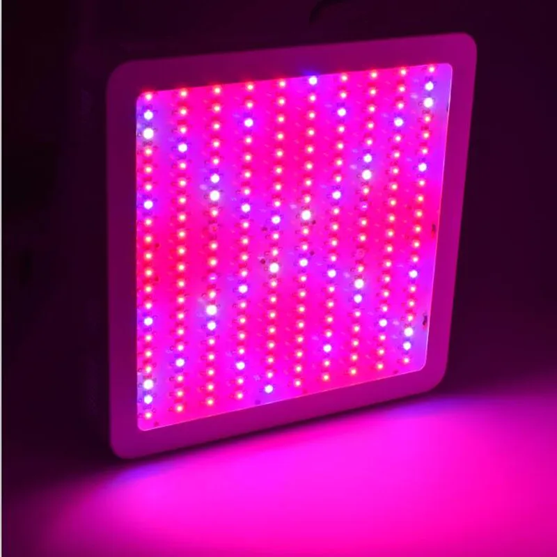 200x10W (5)