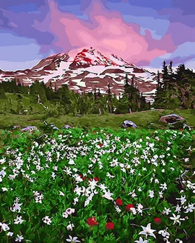 Frameless diy paintings by numbers paint by number for home decor oil picture painting 5065cm snow mountain
Frameless diy paintings by numbers paint by number for home decor oil picture painting 5065cm snow mountain
