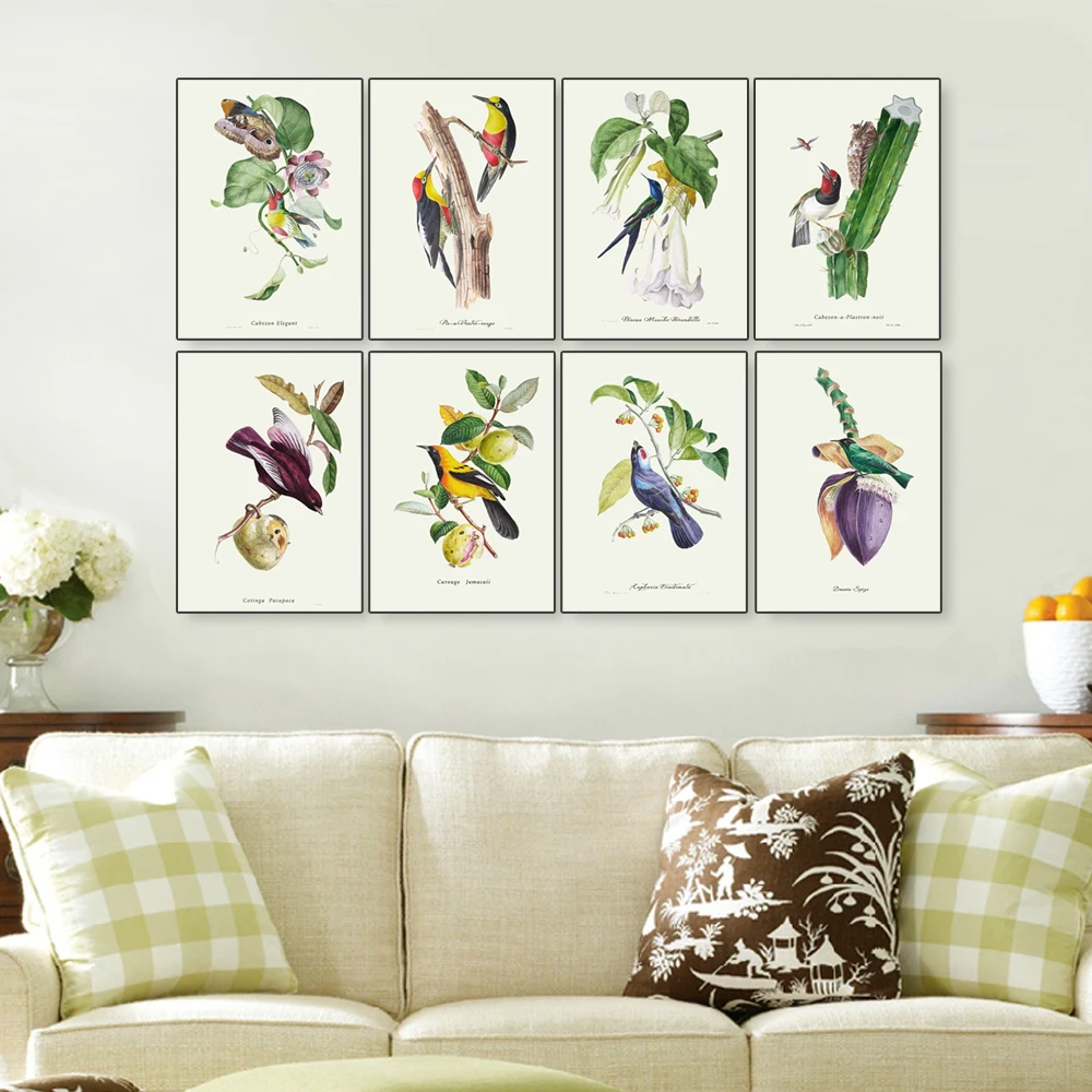 vintage Descourtilz birds full set watercolor birds reproduction art bird on green plants nursery wall art unframed
vintage Descourtilz birds full set watercolor birds reproduction art bird on green plants nursery wall art unframed