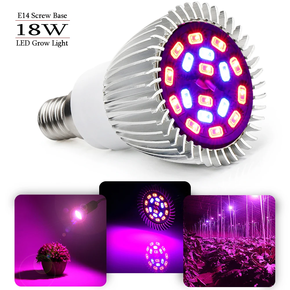 Full Spectrum Led Grow Light 18W E14 12red+6blue Plant Breeding Led Grow Lamp For PVegetables Hydroponic System Grow Tent
Full Spectrum Led Grow Light 18W E14 12red+6blue Plant Breeding Led Grow Lamp For PVegetables Hydroponic System Grow Tent