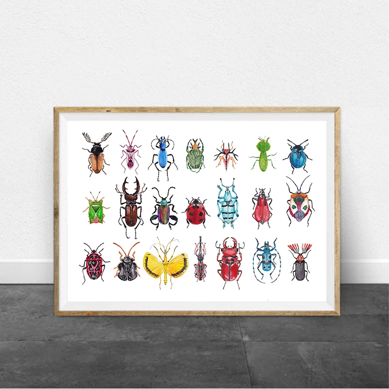 watercolor beetles canvas prints