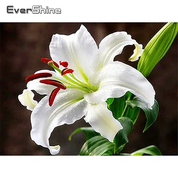 EverShine DIY Diamond Embroidery Flowers Picture Of Rhinestones Diamond Painting Full Square Lily Cross Stitch Diamond Mosaic
EverShine DIY Diamond Embroidery Flowers Picture Of Rhinestones Diamond Painting Full Square Lily Cross Stitch Diamond Mosaic
