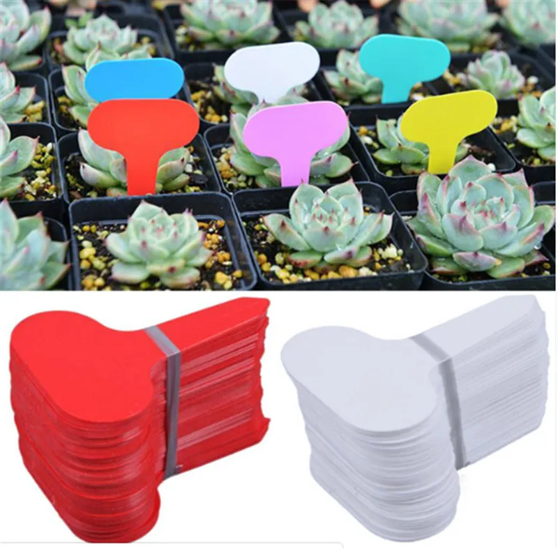 Big Sale! 20 Pcs Nursery Plant Tag T-type Plastic Plant Label Garden Nursery Pots Planters Flower Thick Plant Tag Label Marker
Big Sale! 20 Pcs Nursery Plant Tag T-type Plastic Plant Label Garden Nursery Pots Planters Flower Thick Plant Tag Label Marker