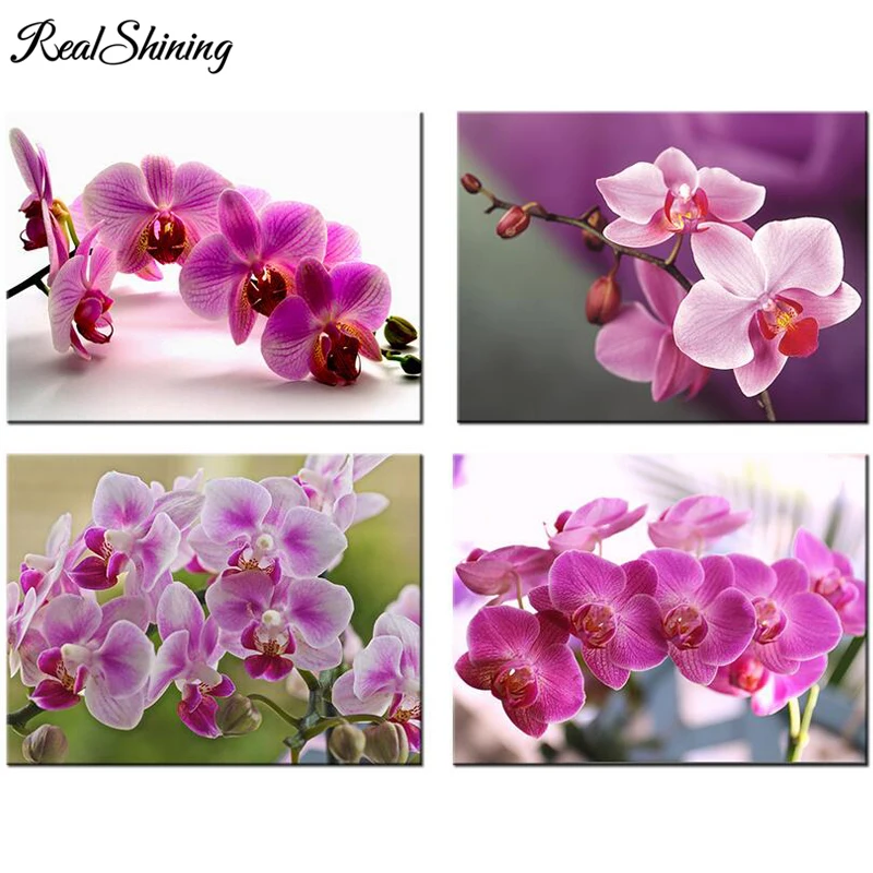 5d diy Puzzle diamond mosaic Orchids Flowers Full square children round gift mosaic pattern of rhinestones FS5944
5d diy Puzzle diamond mosaic Orchids Flowers Full square children round gift mosaic pattern of rhinestones FS5944