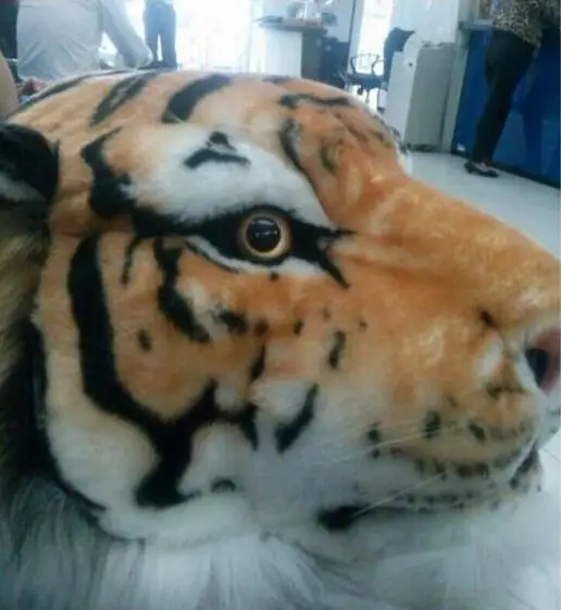 wholesale 10mm Doll handmade DIY toy eyes bear animal mannequin child accessories Zodiac teddy bear eyes tiger pet 4PC/LOT C328
wholesale 10mm Doll handmade DIY toy eyes bear animal mannequin child accessories Zodiac teddy bear eyes tiger pet 4PC/LOT C328